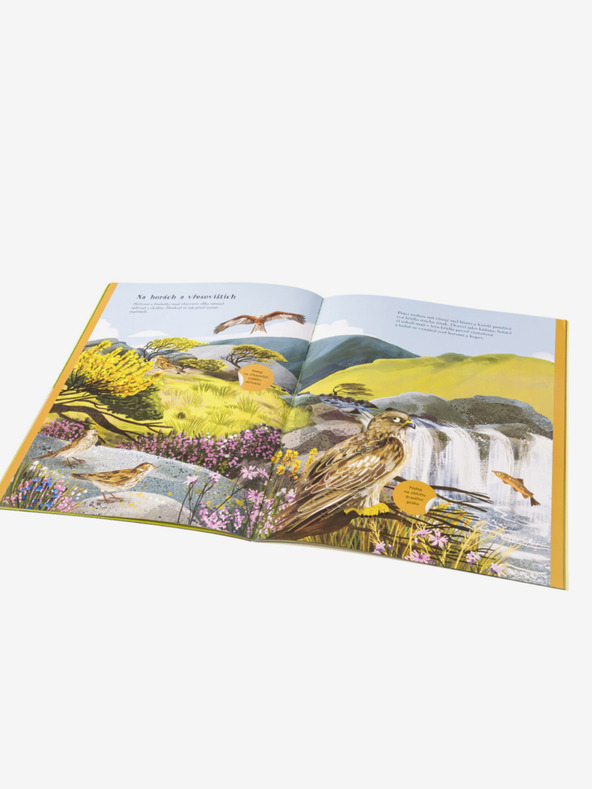 ELLA & MAX SÝKORKY, VRABČÁCI a další zpěváčci – Kniha samolepek