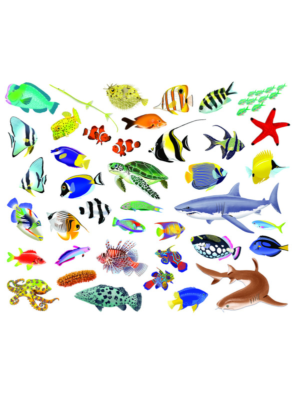 BAAGL  Čti a nalepuj – POD HLADINOU, kniha se samolepkami