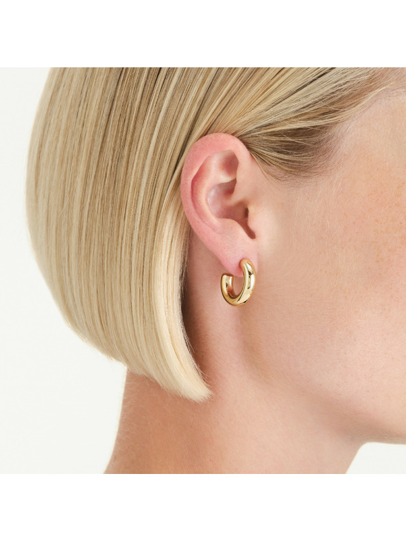 Rosefield Pozlacené dámské náušnice Rosefield JESHG-J931