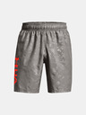 Under Armour Pánské kraťasy Under Armour Woven Emboss Shorts