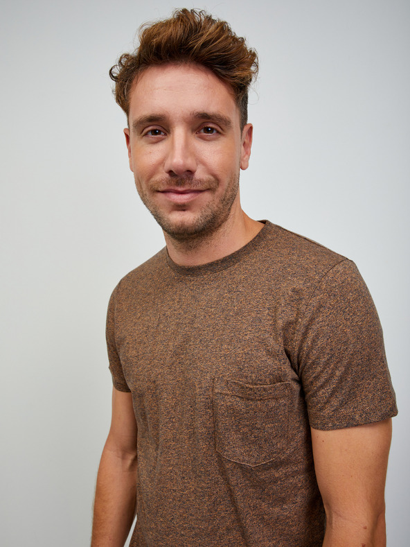 ZOOT.lab Hnědé pánské žíhané basic tričko ZOOT.lab Rex