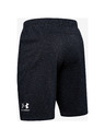 Under Armour Pánské kraťasy Under Armour SPECKLED FLEECE SHORT