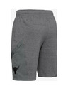 Under Armour Project Rock Kraťasy